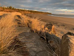 Fantastic Beach & Ocean Views - Image 4