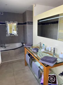 Design villa with panoramic pond view and jacuzzi - Image 3