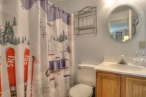 Saddleback - White Birch 74 - GREAT ski-in/out - Image 4