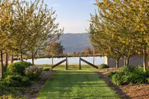 Beolite Retreat - 25 Minutes to Mt Buller Gates - Image 3