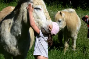 Ideal para niños: espacios abiertos, animales para abrazar, actividades para todos. - Image 5