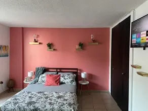 Beautiful studio with ocean view 5 minutes from airport - Image 3