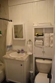 Lovely one room barndominium - The Bastrop Barndo - Image 3