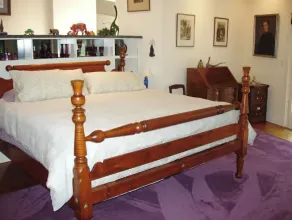 TREETOPS house! AUG openings! A Reunion/Retreat estate! Seasonal POOL! Sleeps 12 - Image 5