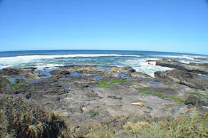 Doc Retreat ~ Yachats Ocean Front - Image 4