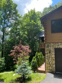Your Smoky Mountain Cabin suite…In the heart of the Smokies.  Pet friendly! - Image 5