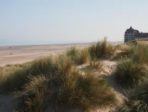 Entre dunes et mer - Image 4