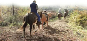 Familie- og kæledyrsvenlig Ranch Marina med heste - Image 3