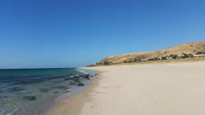 Carrickalinga PET FRIENDLY Beachhouse - Image 4