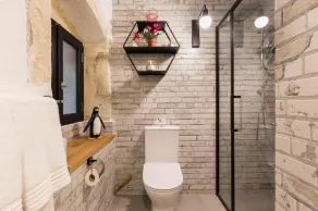 Roof Garden-Panoramic View and Jacuzzi - Image 5