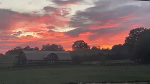 Experience rural charm in our Culleoka Farmstay - Image 4