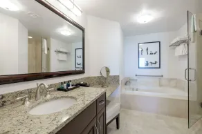 Fontainebleau Hotel Tresor Ocean View 1 bedroom/2 bathroom Suite - Image 3