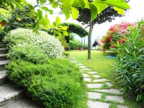 Sunny & Peacefully Situated House near Center of Village - Image 5