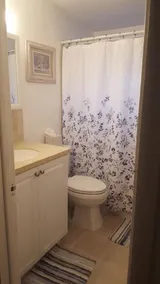 Downtown Safety Harbor 2 Bed 1 Bath Pool Home, 20 minutes from Clearwater beach - Image 3