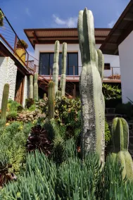 Native Residence - Image 3