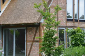 Owl tower - thatched aspen house - Image 4