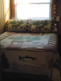 Quaint Lakefront Escape, private shoreline, Dock, Kayaks, Sleeps 6 Near Petoskey - Image 5