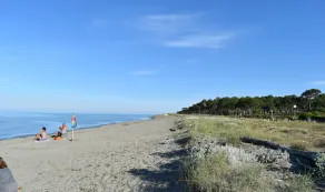 Plage<100m. Clim. Wifi. Jardin clôturé. bbc. Parking.opt voiture. Nbrs activités - Image 2