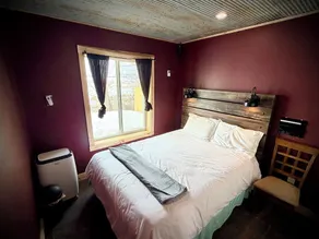 Lake Cabin- Hot Tub, Saunas, Ice Baths, Massage Ch - Image 4