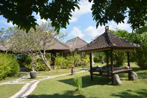 Sunia Loka - Image 5