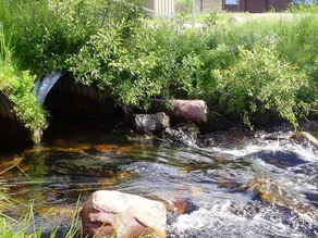 4 stjernet sommerhus i Sälen - Image 5