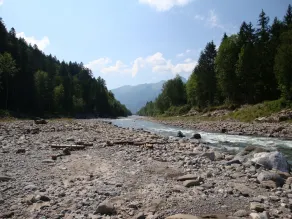 vacker lägenhet i Au i Bregenzerwald - Image 4