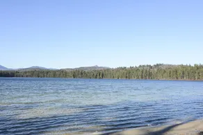 New Pine Cabin in the White Mountains abutting White Lake State Park - Image 5