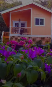 Oceanfront Cottage m / AC @ Kehena Beach, Hawaii - Image 4