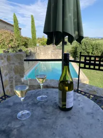 Luxury apartment in a renovated Chateau with a  view of the Pyrenees. - Image 4