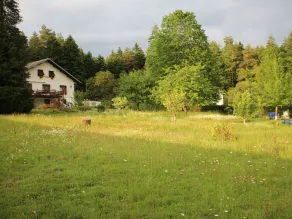 Gîte paisible en forêt avec terrasse, 4 personnes - Image 3