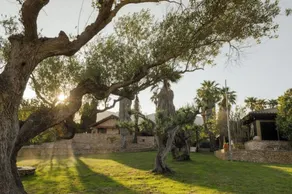 CLOISTER IT. LUX FINCA IN EBRO DELTA - Image 4