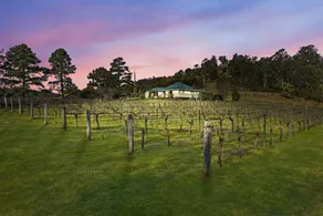 'Old Byora Vineyard' | Luxury Homestead | Sleeps 10 | 5 mins from Wollombi  - Image 2