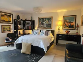 BANANIERS. Air-conditioned house on one level, SPA in garden not overlooked 5 *. - Image 5
