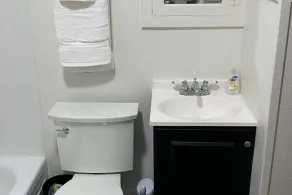 Tyler's Texas Rose, a beautiful 2BR/1BA house with back yard - Image 3
