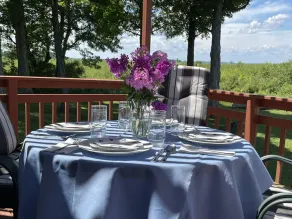 Comfy St Lawrence getaway for  Fisher or birdwatcher or for a family vacation - Image 3
