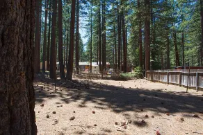 Ein kleines Haus im Big Woods - in der Nähe von Skigebieten und Camp Richardson Resort - Image 4