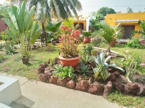 Studio 400m from the beach - Image 5