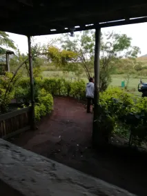 Eco mara forest camp - Image 3