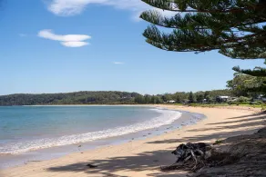 Shell Cottage: Spacious Family Accommodation 2 min Walk to Beach & Ocean views - Image 4