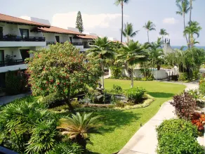 Garden Floor Unit i Ocean Front Condo Complex Casa De Emdeko - Image 4