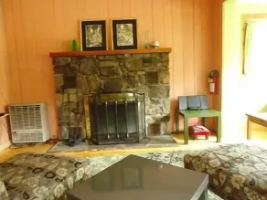 REDUCED RATE! ADIRONDACK CABIN WITH REAL WOOD BURNING FIREPLACE! - Image 5