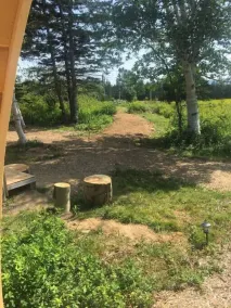White Birch Camping Pod - Image 4