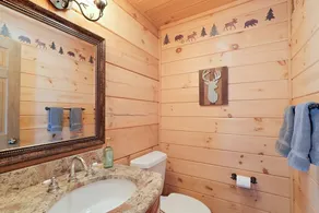 Beautiful Views ~ Hot Tub & Fire Pit Entertainment Area ~ Game Room - Image 3