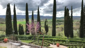 Agriturismo-Macciangrosso Landhaus, Casale Piccolomini. Raum Sechs - Image 2