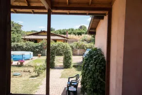 Olive Tree Hill - Image 3