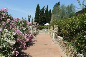 Apartment in Campiglia Marittima - Image 4