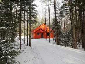 Private haustierfreundliche Hütte im Wald mit Lagerfeuerstelle - Image 5