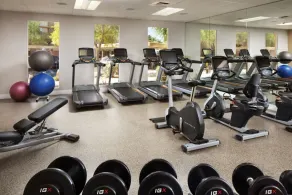 Coachella Festival 2026 Marriott Shadow Ridge 1- The Villages Resort Studio - Image 3