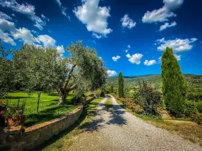 \"Villa Stefania\" Altes toskanisches Bauernhaus - Toller Blick auf Cortona - Image 5
