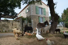 Mobilhome à la Ferme Avec Piscine - Image 5
